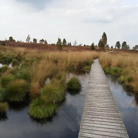 Messeweg